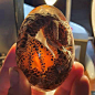 万圣节跨境新款龙蛋熔岩底座树脂发光恐龙蛋装饰家居摆件装饰egg