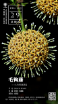 中国科学院西双版纳热带植物园