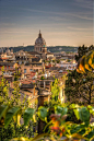 Roma from Villa Borghese (by Tamer Kheiralla)