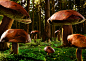 A forrest of mushrooms : We did this surrealistic work for the BEEF! magazine大大背景