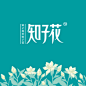 锦连环—教育品牌设计|校园文化建设|文创产品订制|校徽设计|学校特色定位