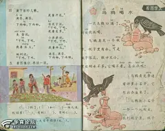 乌鸦喝水，其实没那么简单！