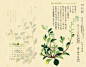 秋色波连波的相册-国立台湾大学图书馆发布2012年历桌布