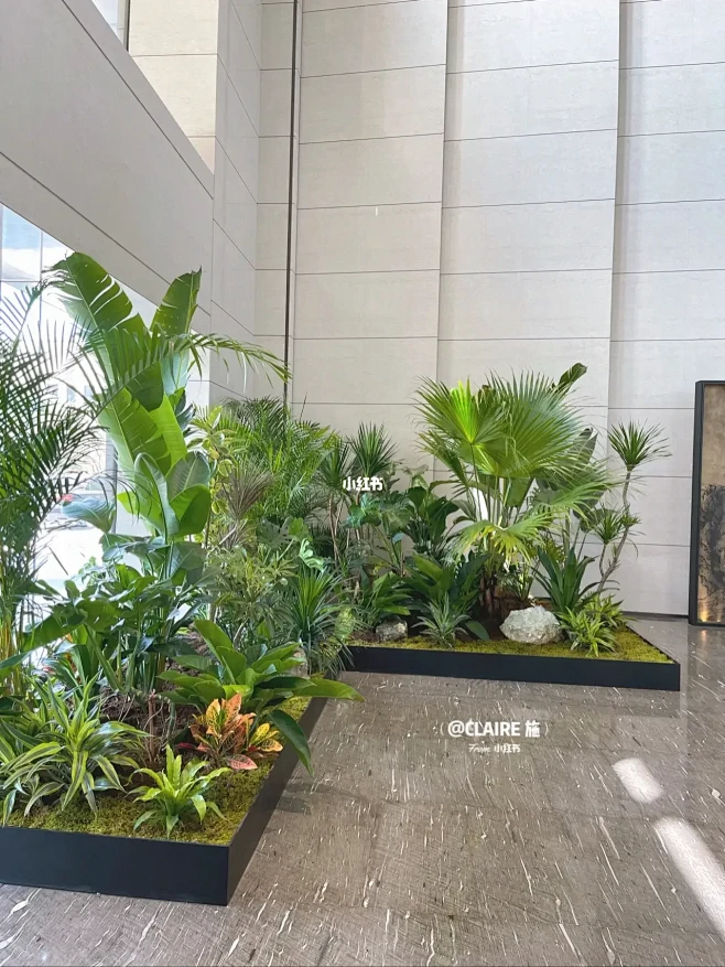 办公集团大楼大堂植物设计造景｜热带雨林景-花瓣网