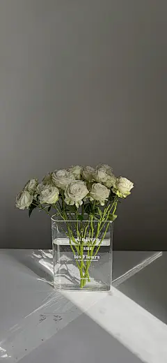 INS风 简约壁纸