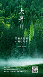 大暑节气夏天绿植景色实景手机海报