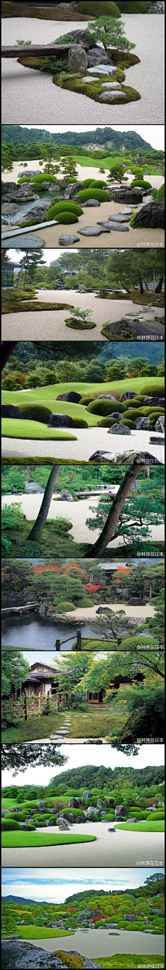 白枭采集到院景