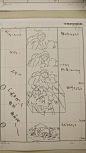 #小魔女学园# 文房具カフェ中展示的第一话部分分镜  出自 监督 吉成曜 ​​​ ​​​​