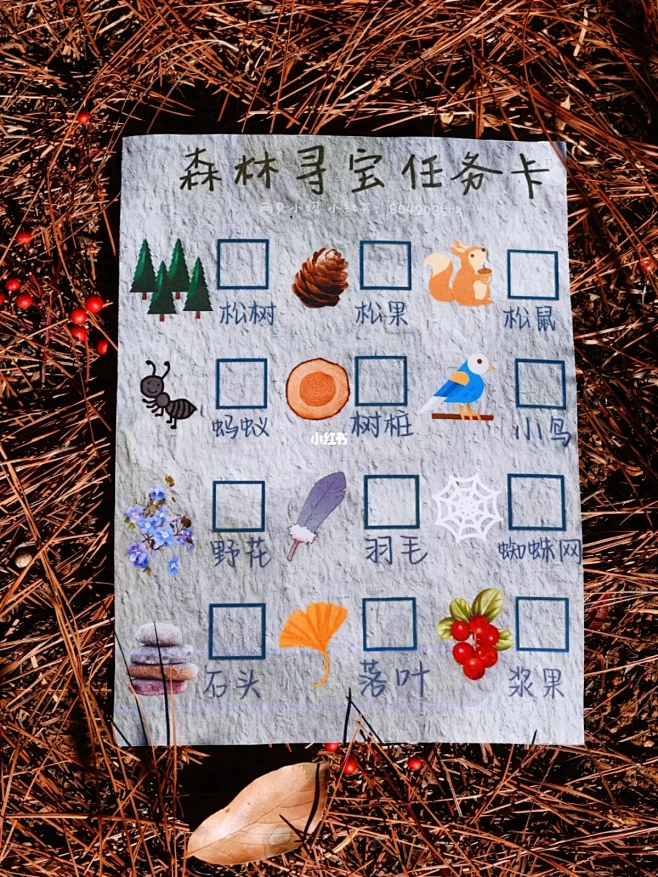自然教育|户外遛娃，带上这份寻宝清单！-花瓣网