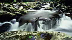 山水自然夏季小田纳西州国家公园大烟山的场景 - 壁纸（#2088763）/ Wallbase.cc