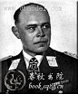 传奇元帅凯塞林