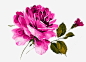 手绘红玫瑰高清素材 创意 插画 水墨元素 水墨花 红色 艺术 花朵 免抠png 设计图片 免费下载