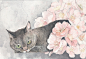© 山田緑（日本插画家）- 猫