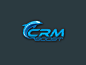 Logo CRM boots logo brand dolphin