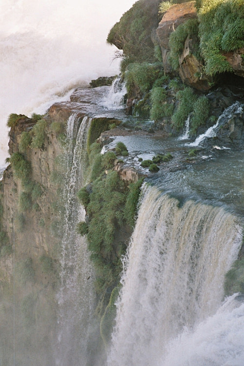 deification:

Iguazu...
