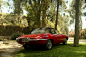 This Jaguar E-Type Has Been Driven From Border To Border - Petrolicious