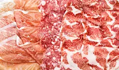 腊肉,字体,carpaccio,意大利熏火腿,滑的,水平画幅,开胃品,膳食,熟食店,组物体