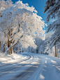 winter, heavy snow, metasequoia tree covered with fluffy strange rime plush, curving open snow road, blue sky, perspective light, real scenery

--ar
 3:4