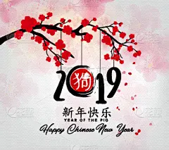 2019,月亮,春节,猪年,白色,事件,传单,庆祝,设计