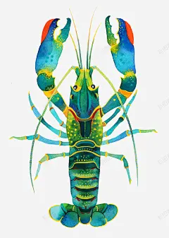 彩色水产绘画龙虾png免抠素材_88icon https://88icon.com 彩色 手绘 毛笔风 水墨 水彩 海产 海鲜 深海 炫彩 龙虾