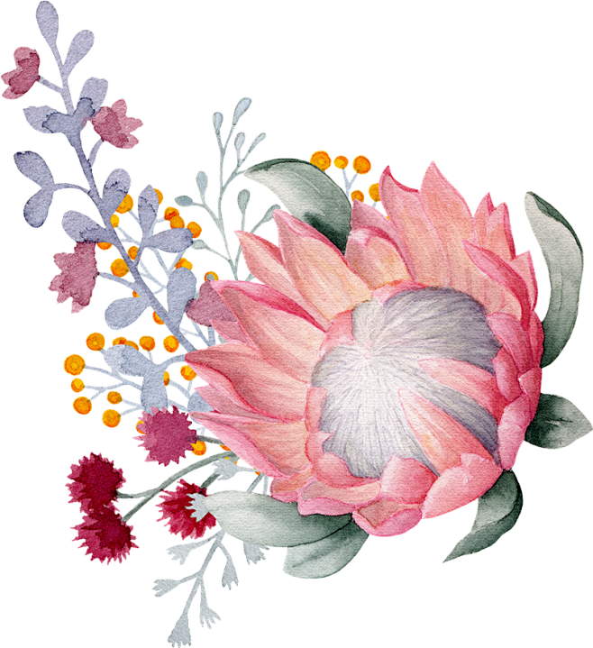 卡片文艺婚礼化妆品水彩紫色粉色花卉PNG...