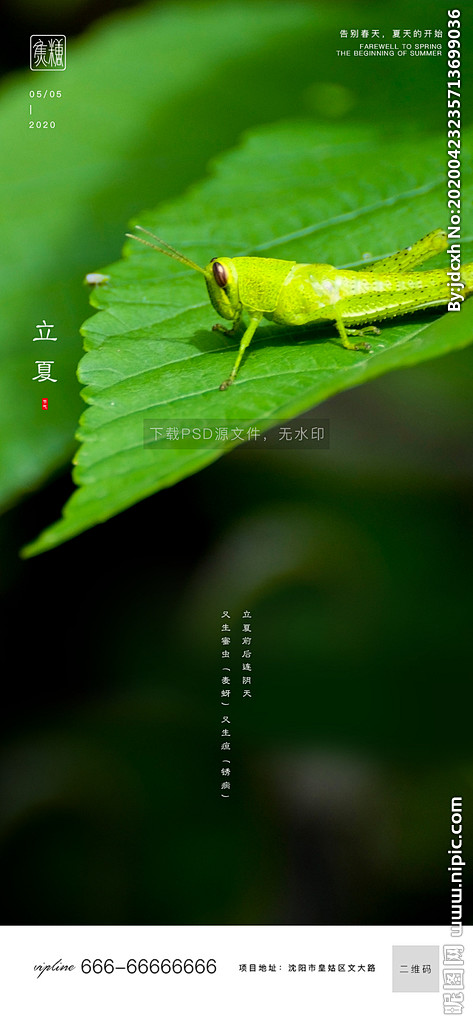 立夏设计图__海报设计_广告设计_设计图...
