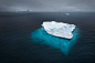 Joshua Holko 拍摄作品：“浮冰上的企鹅”