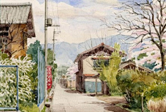 留忆i采集到绘画-水彩