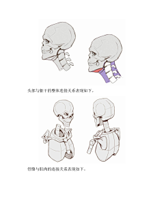 ♚画情采集到(PDF版本)动漫人体结构表现技法专项训练