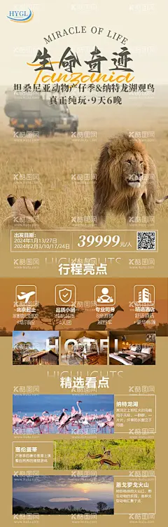 南非 坦桑尼亚动物大迁徙旅游海报  - 源文件下载【酷图网】海报,长图,旅游,南非,坦桑尼亚动物,大迁徙,狮子,