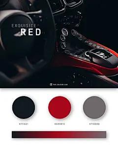Red/配色参考/三色搭配/颜色搭配/色彩搭配/深色系配色/红色配色/红黑配色