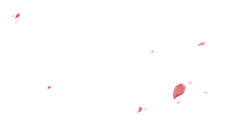 ★韩]==]C采集到花瓣