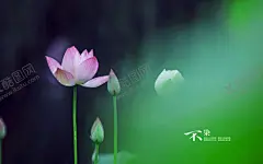 风景图片 【酷图网】风景图片,自然景观,自然风光,大自然风景,风景,风景壁纸,大自然,蓝天白云,电脑壁纸,创意图片,美景,美景图片,美景壁纸,旅游风景,风景名胜,植物,绿色植物,婚庆图片,婚庆背景,草原,大草原,草原风景,草地,唯美风景
