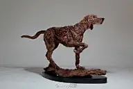 漂流木的“前世今生” ！