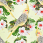 Seamless texture  parrot yellow cockatiel cute tro