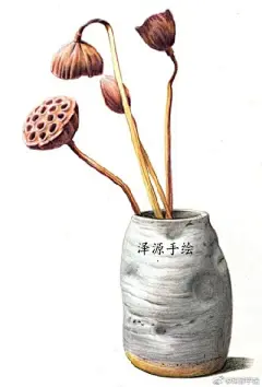 彩铅----植物，花卉 - 高清图片，堆糖，美图壁纸兴趣社区