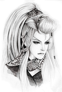 Misery丶采集到霹雳布袋戏