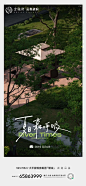 #大平层##入市# #城市地标# (114)