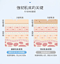 强韧肌底