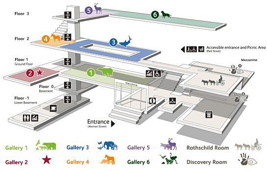 伦敦博物馆楼层地图 -  Google検...
