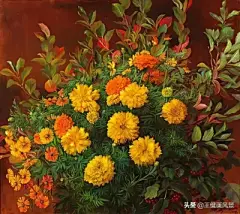 花草 - 高清图片，堆糖，美图壁纸兴趣社区