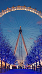 London eye, Night view