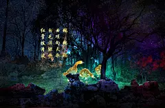 中国式园林 5A扬州瘦西湖 | 光影百年