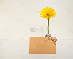 空白的黄色纸卡与黄花在陶瓷花瓶