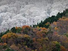 第11页 | 必应每日高清壁纸 - 精彩，从这里开始