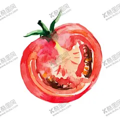 手绘彩色蔬菜免扣素材图片 【酷图网】青菜插画,蔬菜插画,手绘蔬菜,手绘青菜,健康饮食,果蔬,蔬菜,水果,饭菜,绿色蔬菜,食物手绘,小清新,素材,美食,餐饮,手绘,食材,插画,火锅食材,食物,光盘行动,拒绝浪费,光盘,公益,宣传,卡通,PNG,免抠,免抠图,抠图,元素,透明,蔬菜素材,蔬菜沙拉,沙拉,有机蔬菜,天然,健康,西红柿,番茄