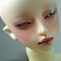 【face up】 人形&n-N+