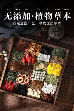 雪猴子采集到摄影参考