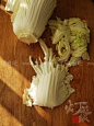 如何做鱿鱼豆腐炖白菜的做法（海鲜家常菜）