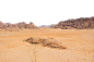 72b005750774e0c417b879e95a7f0971